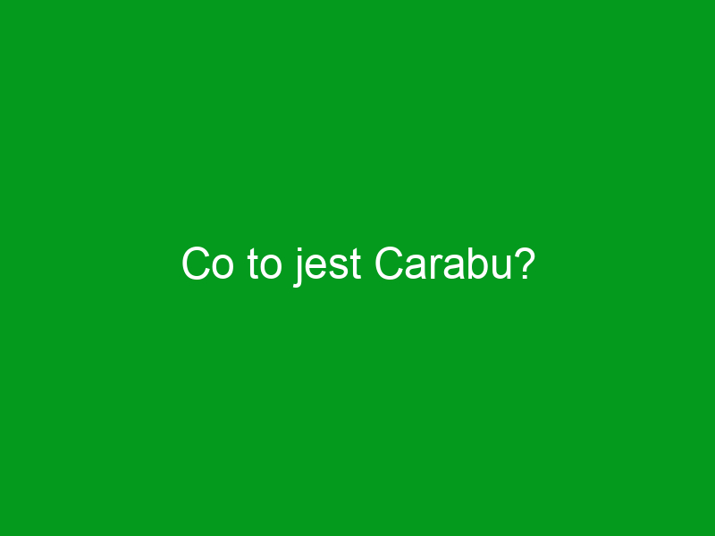 Co to jest Carabu?