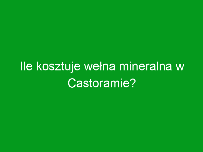 Ile kosztuje wełna mineralna w Castoramie?