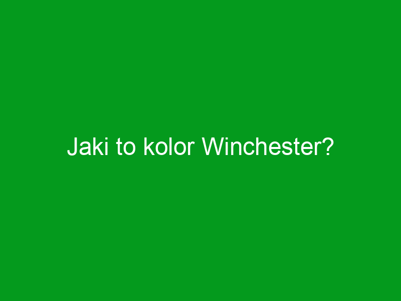 Jaki to kolor Winchester?